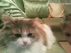 ���� Mrbublzzz, �������-���������, 30 ��� - ��������� 8 ������ 2011