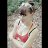 ���� ~Vrednaya_devo4ka~, �����, 30 ��� - ��������� 4 ���� 2012