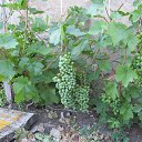 ���� �����, ������, 57 ��� - ��������� 26 ���� 2013 � ������ ���� ����������