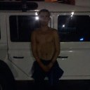  , , 41  -  17  2010   )