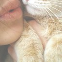 ���� ��������, ������, 85 ��� - ��������� 8 ����� 2012