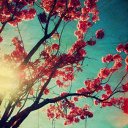 ���� ��������, ����, 41 ��� - ��������� 11 ������ 2010 � ������ �������