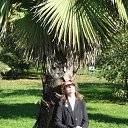 ���� �����, ����, 62 ���� - ��������� 6 ������ 2011 � ������ ���� ����������