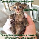 ���� ~Ann&ramosh~, ���������� - ��������� 2 ������� 2009 � ������ ���������