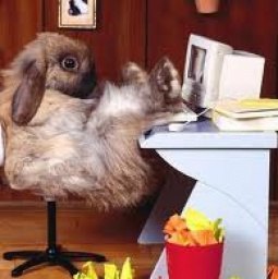 �����, ���������, 47 ���