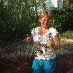 ������, �����-���������, 64 ����