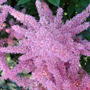 ���� ������, ������, 63 ���� - ��������� 5 ������� 2011 � ������ ������-���� �����-2�