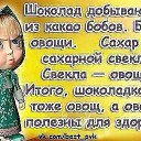  , ,  -  2  2013   , ,  