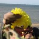 ���� ��, ������, 33 ���� - ��������� 23 ��� 2013 � ������ ���� ����������