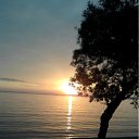 ���� ����, ��������������, 53 ���� - ��������� 31 ����� 2012 � ������ �� ��� ������