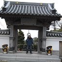 ���� ������, �����������, 41 ��� - ��������� 31 ������� 2012 � ������ ���� ����������