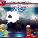   ( ),  , 44  -  29  2010   PetLove