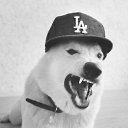 ���� ������, ����������, 28 ��� - ��������� 7 ��� 2013