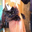 ���� Aleksandr:), �����������-��-�����, 54 ���� - ��������� 17 ���� 2010 � ������ ����� � ������