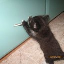 ���� ���������, ������ ��������, 46 ��� - ��������� 26 ������ 2009 � ������ ���� ��������: ��������