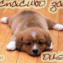 ���� *Heart*, ���� - ��������� 31 ���� 2013 � ������ ���� ����������