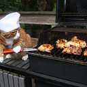 ���� ����� - ���������� ��������!!!, �����������, 56 ��� - ��������� 4 ������� 2009 � ������ �������ϻ