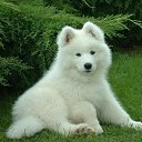  , -, 47  -  24  2011   