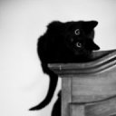  Little Devil, , 56  -  10  2012    