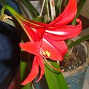 ���� �����, �������������, 25 ��� - ��������� 28 ���� 2013 � ������ ���� ����� �������������.�