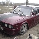���� ������, �����, 39 ��� - ��������� 31 ��� 2013 � ������ �������