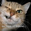 ���� ���, ������, 49 ��� - ��������� 15 ������� 2011