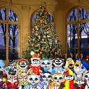 ���� �������, ���������, 35 ��� - ��������� 3 ������ 2010 � ������ ������(�������,����� ��� � ������ �����)�
