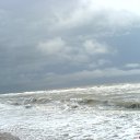 ���� ���������, �������, 40 ��� - ��������� 5 ������ 2009 � ������ ���� ����������