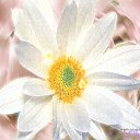 ���� Kisa, ��������������, 42 ���� - ��������� 10 ������� 2011 � ������ �������