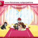  , , 46  -  2  2011   PetLove