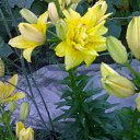 ���� �����, ������, 42 ���� - ��������� 22 ������ 2011