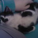   ,  -  26  2013        =)