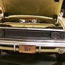 ���� ������, ��������������, 43 ���� - ��������� 17 ����� 2013 � ������ ����������� ������))�