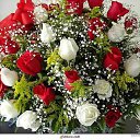 ���� Valentina, ������������ - ��������� 28 ���� 2012