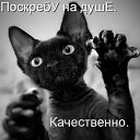  Nataly, , 52  -  18  2010   Funny Cats