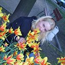 ���� ����, ������, 42 ���� - ��������� 19 ������� 2013 � ������ ���� ����������