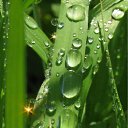 ���� ���������, ���������, 59 ��� - ��������� 28 ���� 2011 � ������ ��������