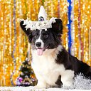 ���� ����! ���, ������������, 52 ���� - ��������� 7 ������ 2012 � ������ ��������