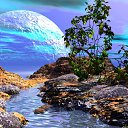 ���� ������, ������, 37 ��� - ��������� 4 ����� 2010 � ������ �����=)�