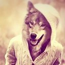 ���� �������, ��������, 38 ��� - ��������� 12 ��� 2013 � ������ ���� ����������