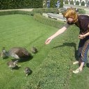 ���� �����, ������, 43 ���� - ��������� 3 ������� 2010