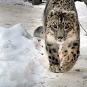 ���� ������, ������ ��������, 55 ��� - ��������� 15 ��� 2013 � ������ �������