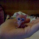  , --, 22  -  7  2012   