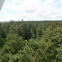 ���� ������� �����, ����������� - ��������� 29 ���� 2011 � ������ �������