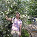 ���� ����, ������, 44 ���� - ��������� 15 ��� 2010