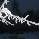 ���� Svetlana, ������, 59 ��� - ��������� 29 ������ 2011 � ������ ����������� ����������� 2011�