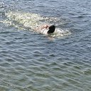 ���� �����, ��������������, 46 ��� - ��������� 4 ������� 2011 � ������ ������ ��