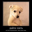 ���� �������, ����, 58 ��� - ��������� 11 ��� 2012 � ������ ���� ����������