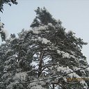 ���� �������, �����-���������, 58 ��� - ��������� 6 ���� 2011 � ������ ����� �� ����