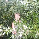  , , 50  -  23  2011    2011.